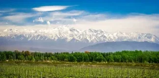 Viñedo cerca de Mendoza — Fotografía de stock del banco de imágenes libres de derechos