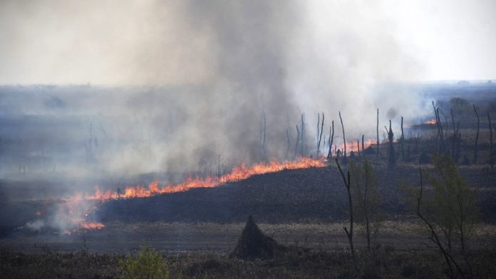 incendios