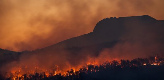 Cambio Climático