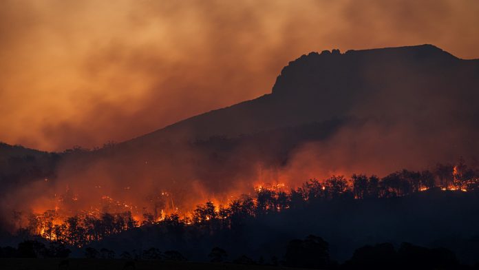 Cambio Climático