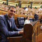 El presidente del Gobierno en funciones, Pedro Sánchez, durante una sesión plenaria, en el Congreso de los Diputados Eduardo Parra - Europa Press - Eduardo Parra - Europa Press